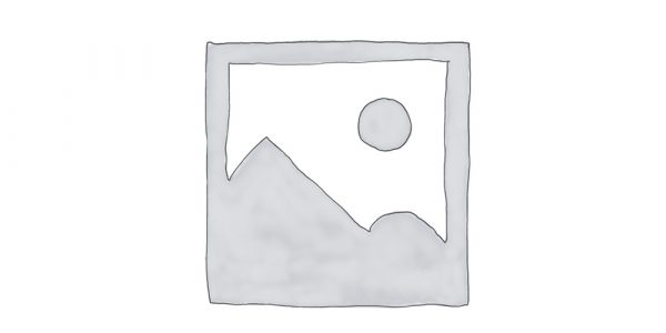 عنصر نائب Placeholder